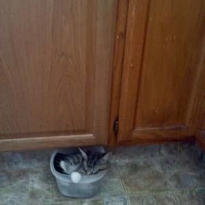 Meet your Posher, Jody